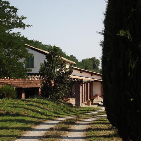Casale Arcadia Hotel Orvieto Ngoại thất bức ảnh